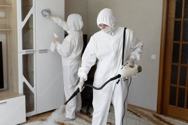 24/7 Emergency Odor Removal experts in Deerfield, MI